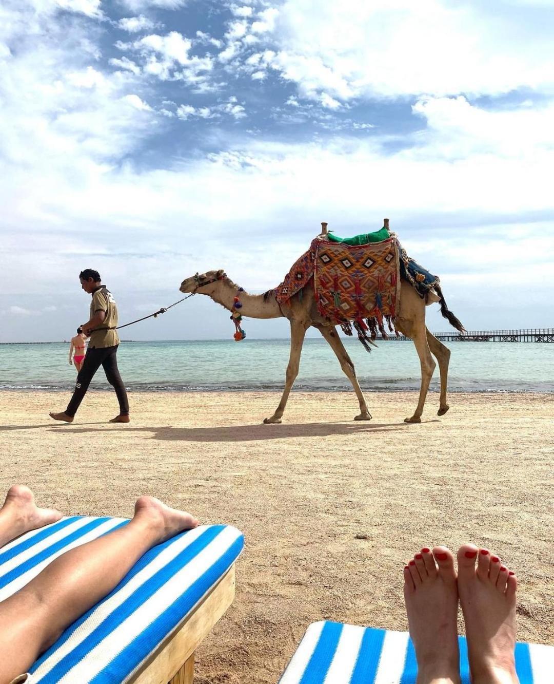 Romance Regency Club (Adults Only) Sharm el-Sheik Eksteriør bilde